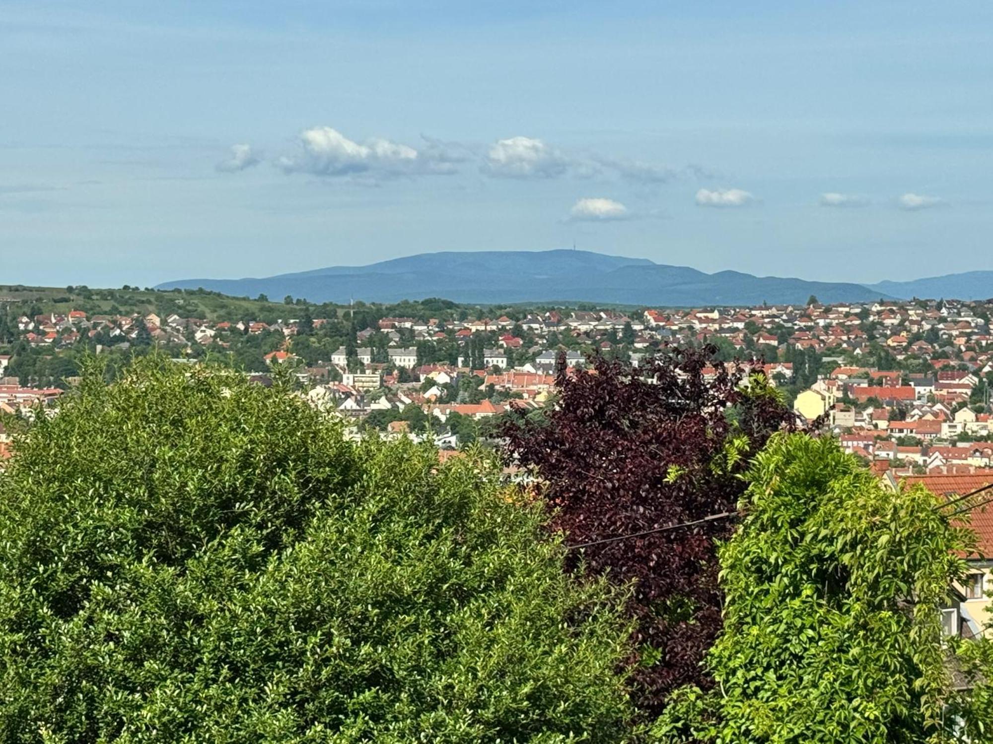 Panorama * Eger